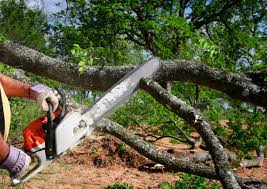 Best Lawn Pest Prevention  in Kiel, WI