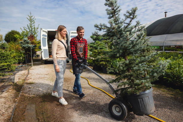 Soil Testing and Treatment in Kiel, WI