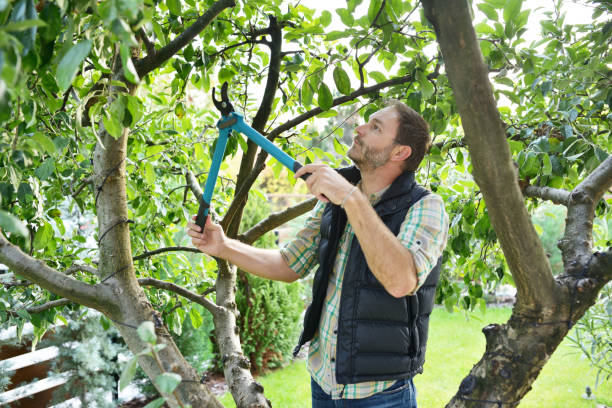 Best Tree Maintenance Programs  in Kiel, WI